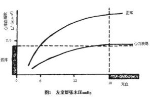 充血性心力衰竭