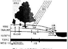 地下水體系作用勢