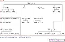 韋斯萊家譜中文版