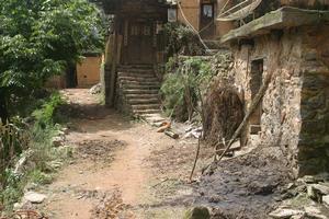 阿多里自然村村內道路