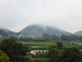 橋南村[山西省萬榮縣西村鄉下轄村]