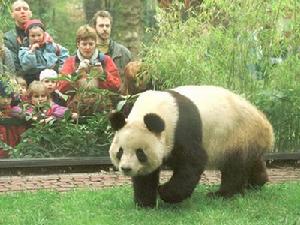 柏林動物園