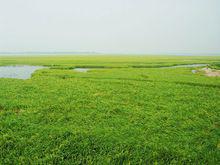 望江縣武昌湖風景