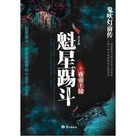 《鬼吹燈前傳:魁星踢斗之夜帝王陵》