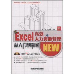 Excel高效人力資源管理從入門到精通