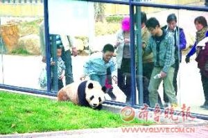 煙臺市南山動物園