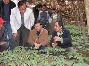 （圖）龍慶彝族壯族鄉