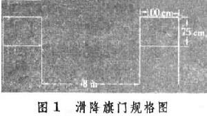 阿爾卑斯滑雪