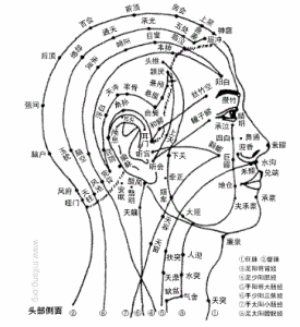 鼻沖穴