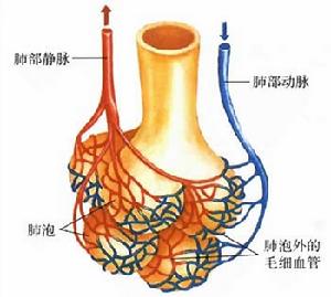 格列波脲