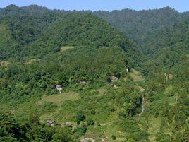 羅坪村[雲南綏江縣板栗鄉下轄村]