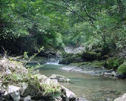 黑山谷生態旅遊區