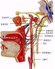 舌咽神經損傷