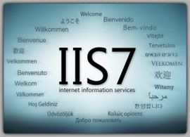 iis[網際網路識別體系]