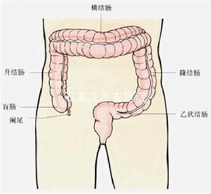 糞便隱血試驗