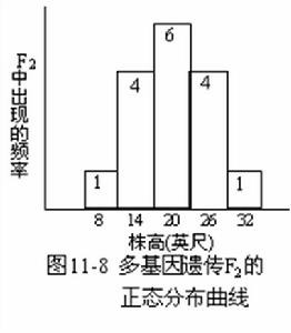 基因領域效應