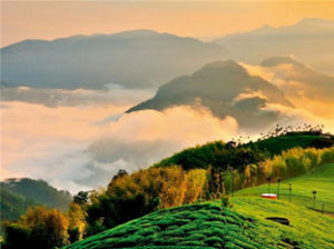 阿里山風景區