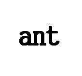 ant[英語單詞]