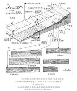 海灘面體系