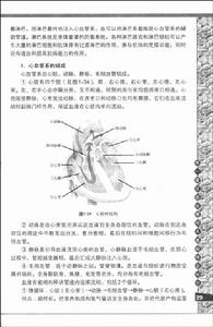 圖書內頁