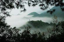 嵩雲山國家森林公園