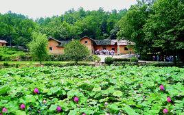 韶山風景區[湖南省湘潭縣韶山風景區]