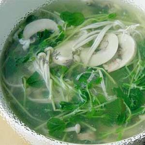 豆苗口蘑湯