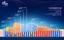 九分區護脊床墊