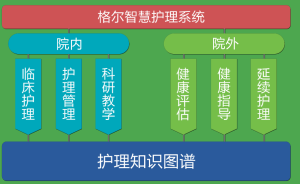 智慧護理知識圖譜