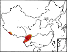 點翅朱雀分布圖