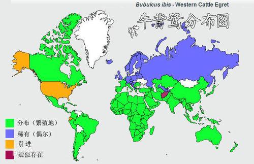 牛背鷺分布圖