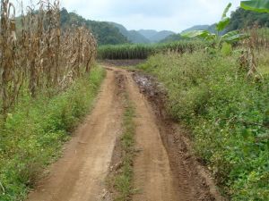 富尼新寨村