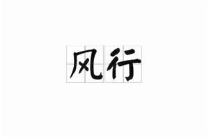 風行[漢語詞語]