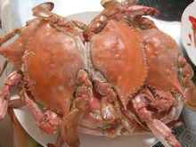 海鮮是青島人最重要的食品之一——螃蟹