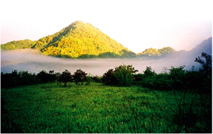 大巴山國家地質公園