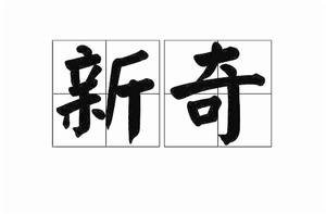 新奇[漢語詞語]