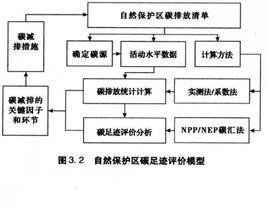 淨生態系統生產力