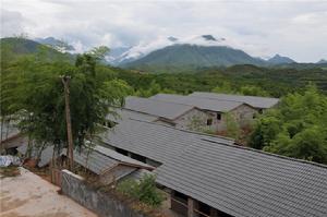 龍泉市康達生態養殖場