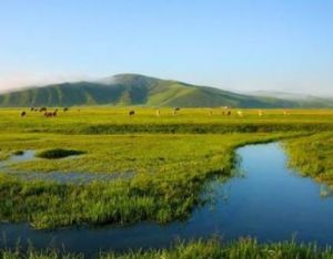 阿爾山七仙湖草原