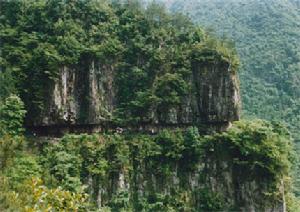 雅莊村