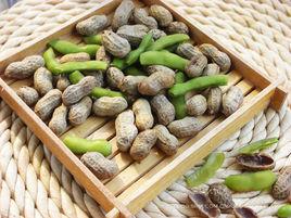 花毛一體 花毛一體