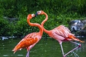 台北木柵動物園