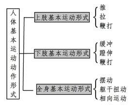 人體基本運動動作形式