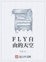 FLY自由的天空