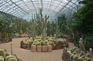 沙地植物園
