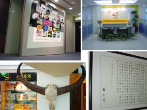 深圳市彼岸文化藝術發展有限公司