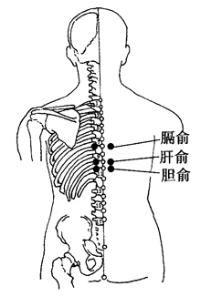 膽俞穴