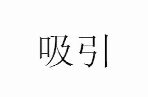 吸引[漢語詞語]