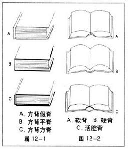 方背平脊