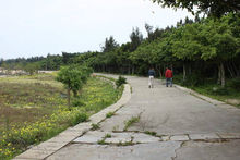 大墜島 風光